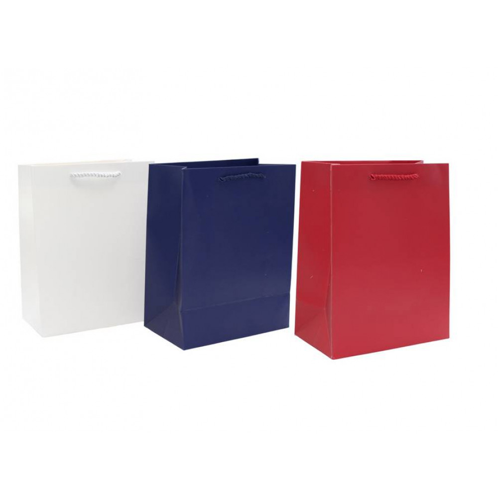 Թղթե նվերի տոպրակ 12հ-ոց 4ձև 4-գույն 26*32*10սմ, ուղղահայաց