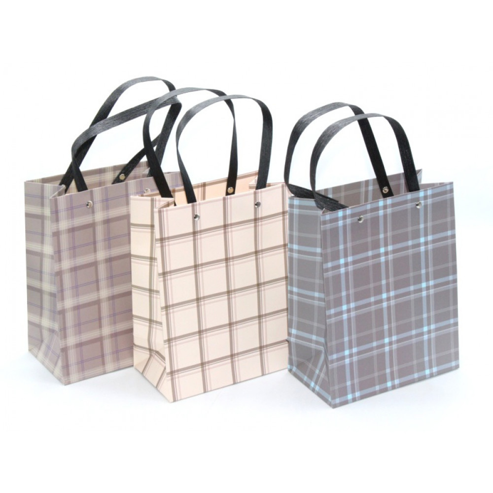 Թղթե տոպրակ 12հ-ոց 4 երանգ /23*18*10սմ