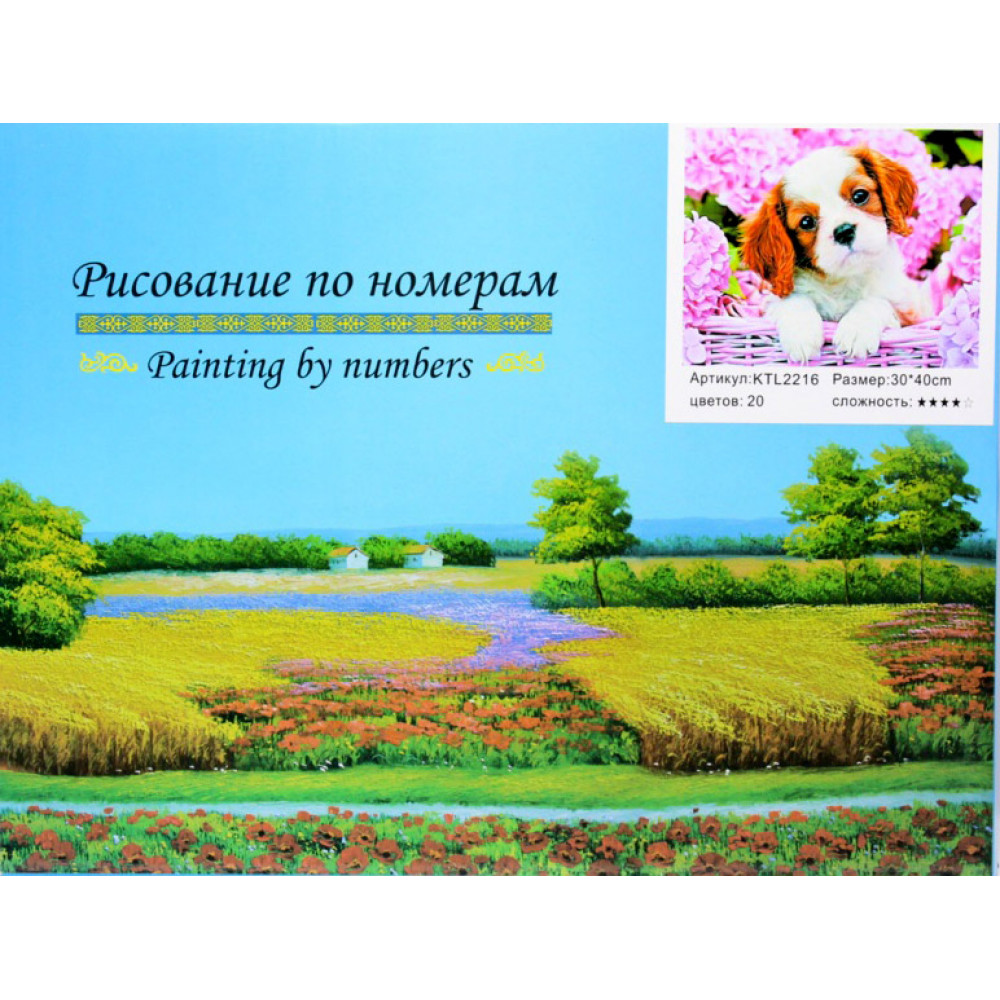 Նկարչություն ըստ համարների 40x30սմ
