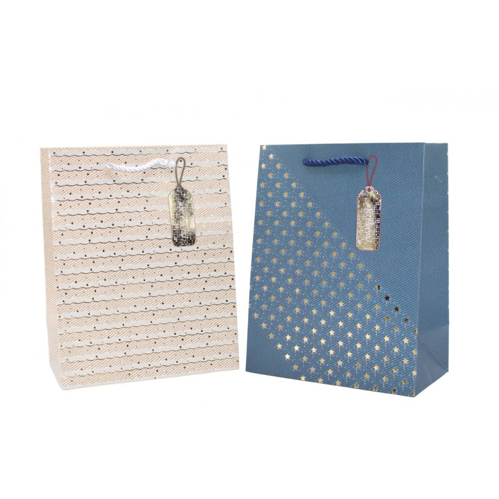 Թղթե նվերի տոպրակ 12հ-ոց 4ձև 4-գույն 18*10*23սմ