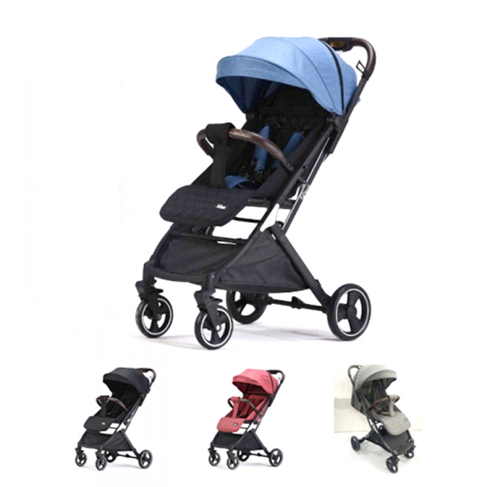 Մանկասայլակ զբոսանքի