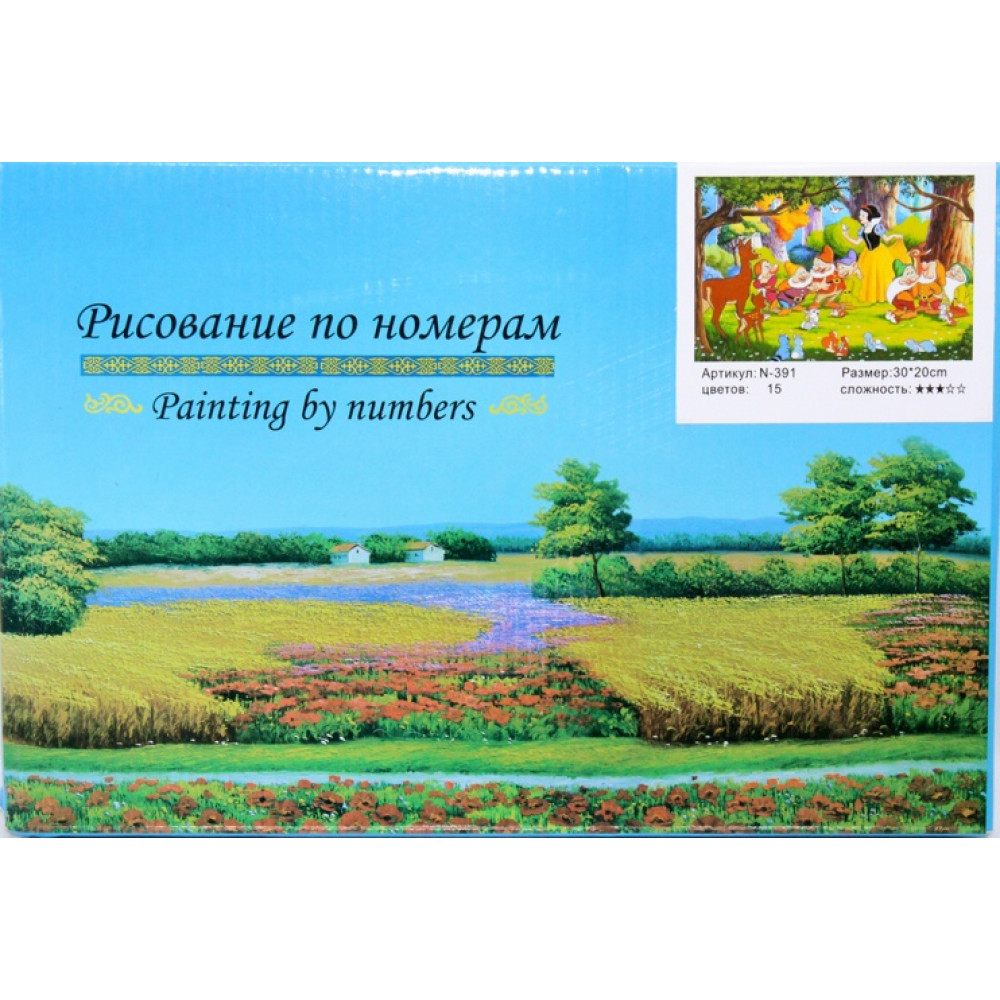 Նկարչություն ըստ համարների 30x20սմ