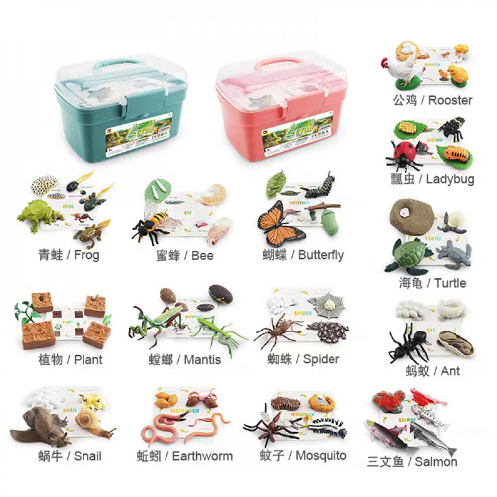 Խաղալիք կենդանիների և միջատների հավաքածու, ստեղծման և աճի ցիկլի ծանոթուցյուն + խաղաքարտ YJ100-B