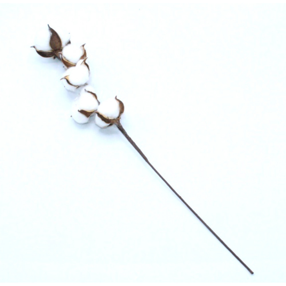 Արհեստական ճյուղ 43սմ-ոց